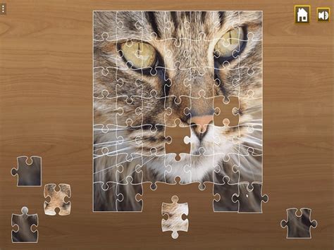 JOCURI PUZZLE